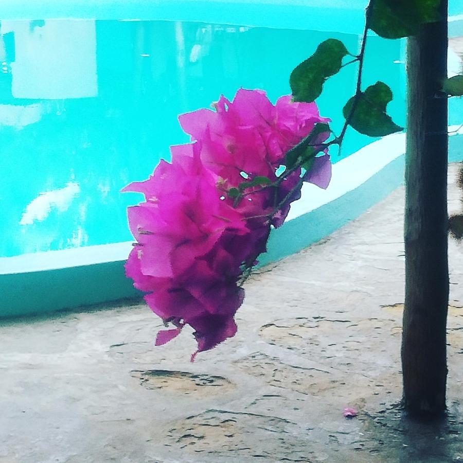 Chiky Villa Ватаму Экстерьер фото